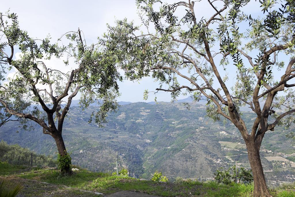 Terre Bianche Appartamenti Dolceacqua Zewnętrze zdjęcie