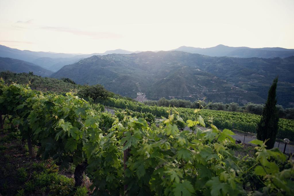 Terre Bianche Appartamenti Dolceacqua Zewnętrze zdjęcie